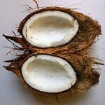 open coconut